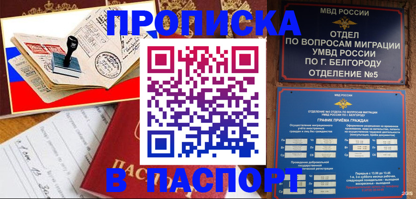 купить прописку в Краснодарском крае